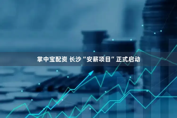掌中宝配资 长沙“安薪项目”正式启动